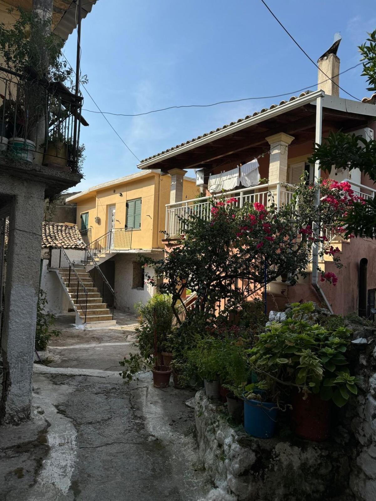 Sofia's Bella Vista Pagoi Apartment Agios Georgios Pagon