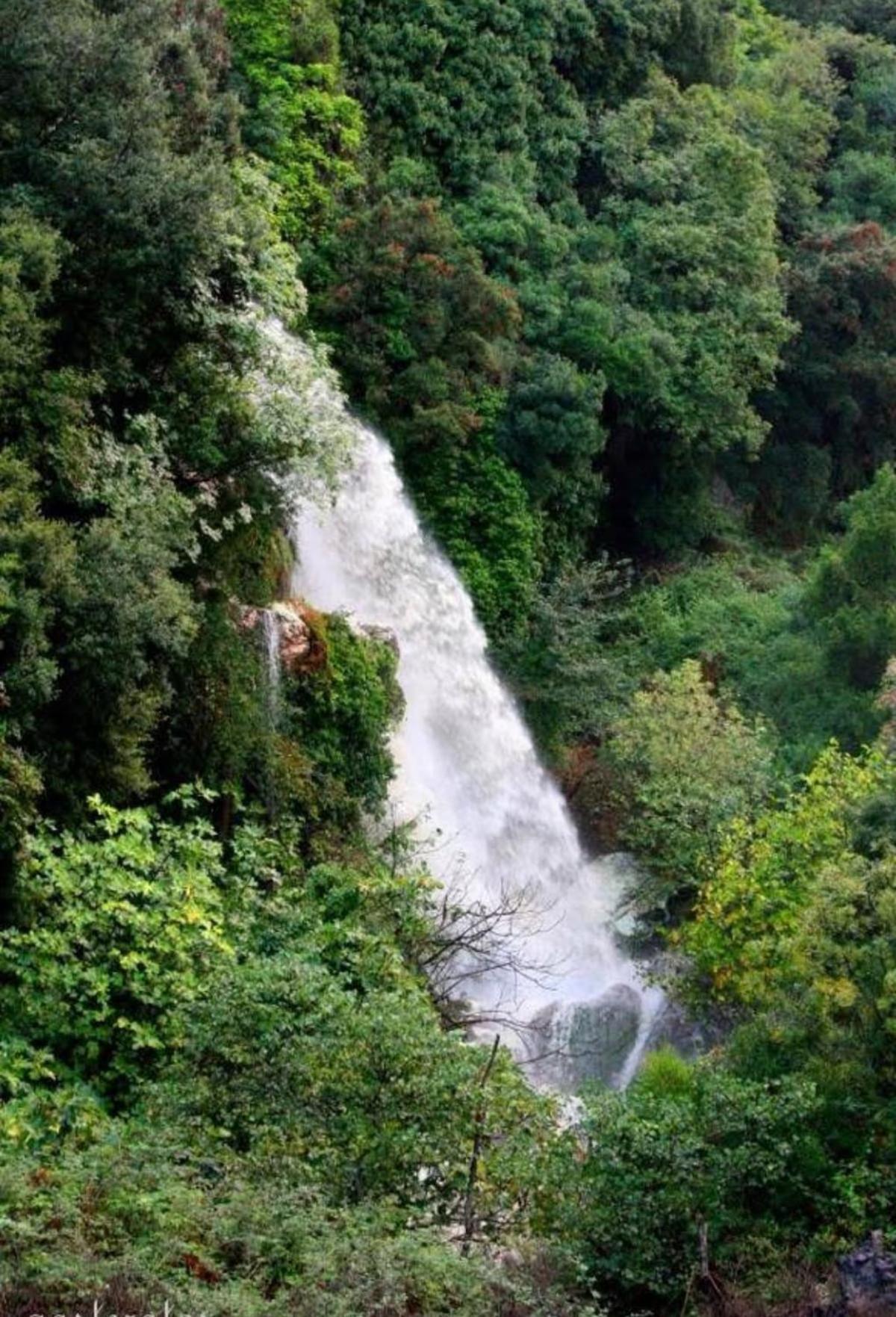 Sofia's Bella Vista Pagoi